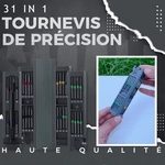 Jeu de Tournevis de Précision 31 En 1