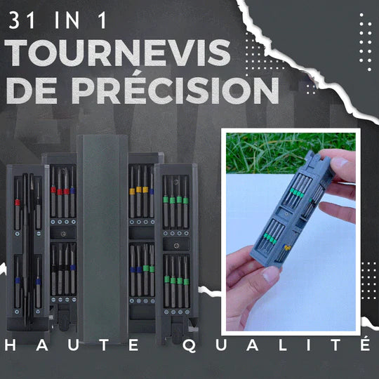 Jeu de Tournevis de Précision 31 En 1