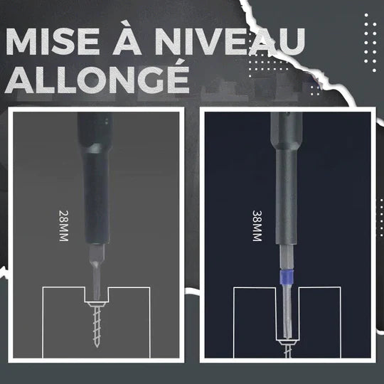 Jeu de Tournevis de Précision 31 En 1