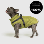 Veste d'hiver pour chien 2 en 1 (Bientôt épuisé)