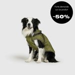 Veste d'hiver pour chien 2 en 1 (Bientôt épuisé)