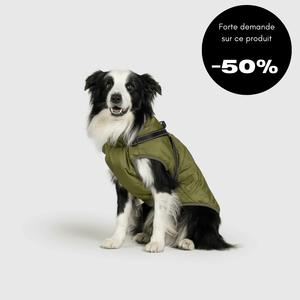 Veste d'hiver pour chien 2 en 1 (Bientôt épuisé)
