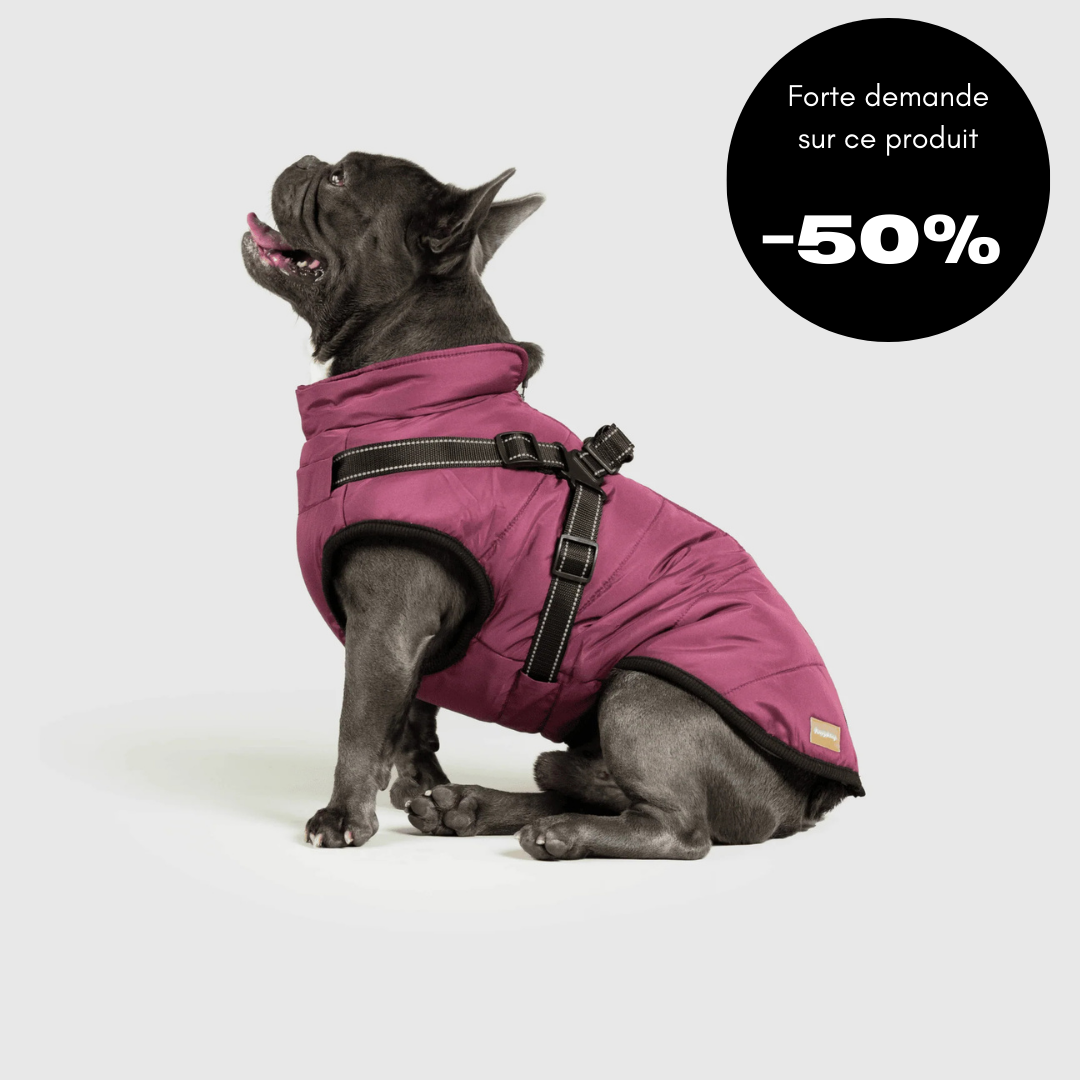 Veste d'hiver pour chien 2 en 1 (Bientôt épuisé)