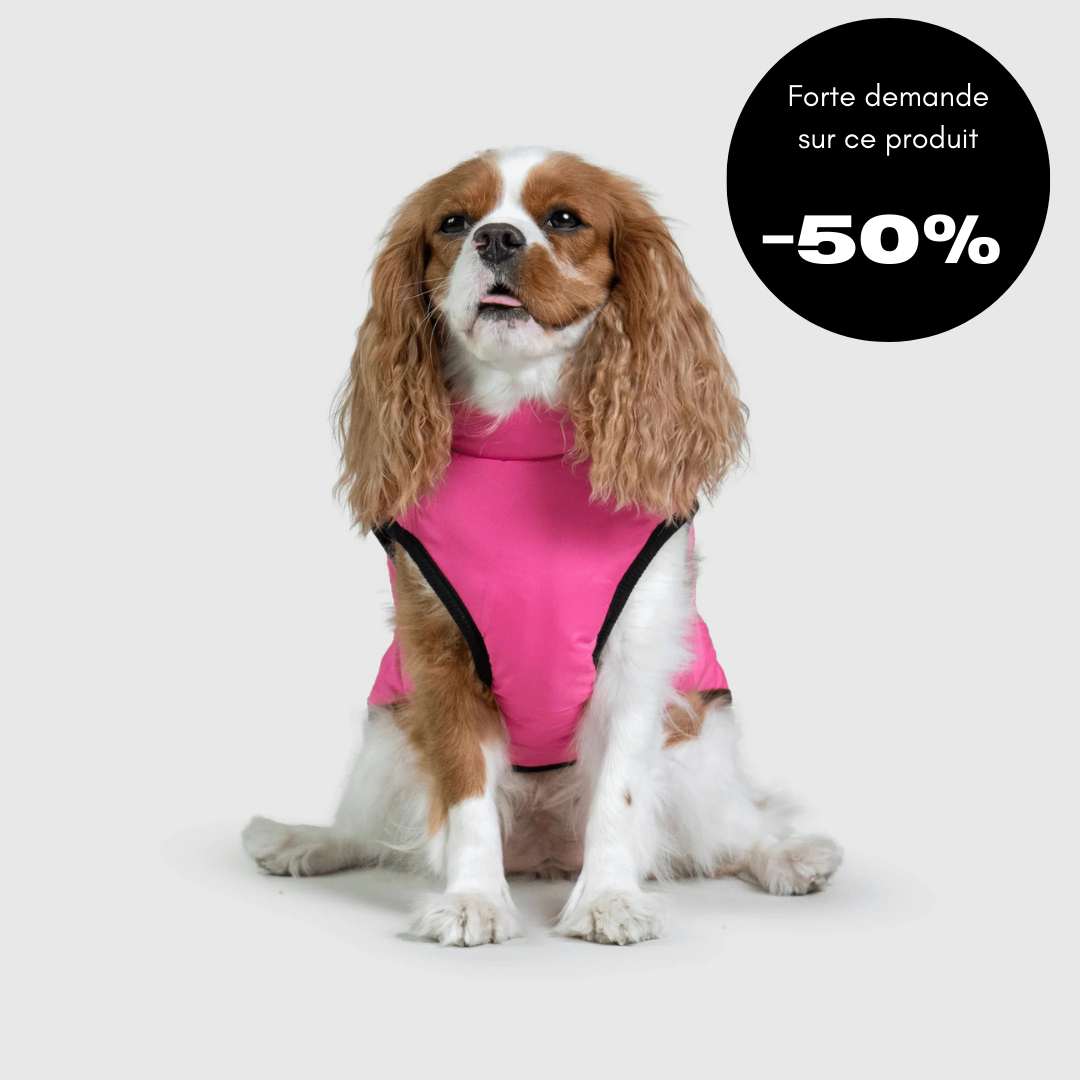 Veste d'hiver pour chien 2 en 1 (Bientôt épuisé)