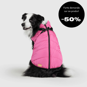 Veste d'hiver pour chien 2 en 1 (Bientôt épuisé)