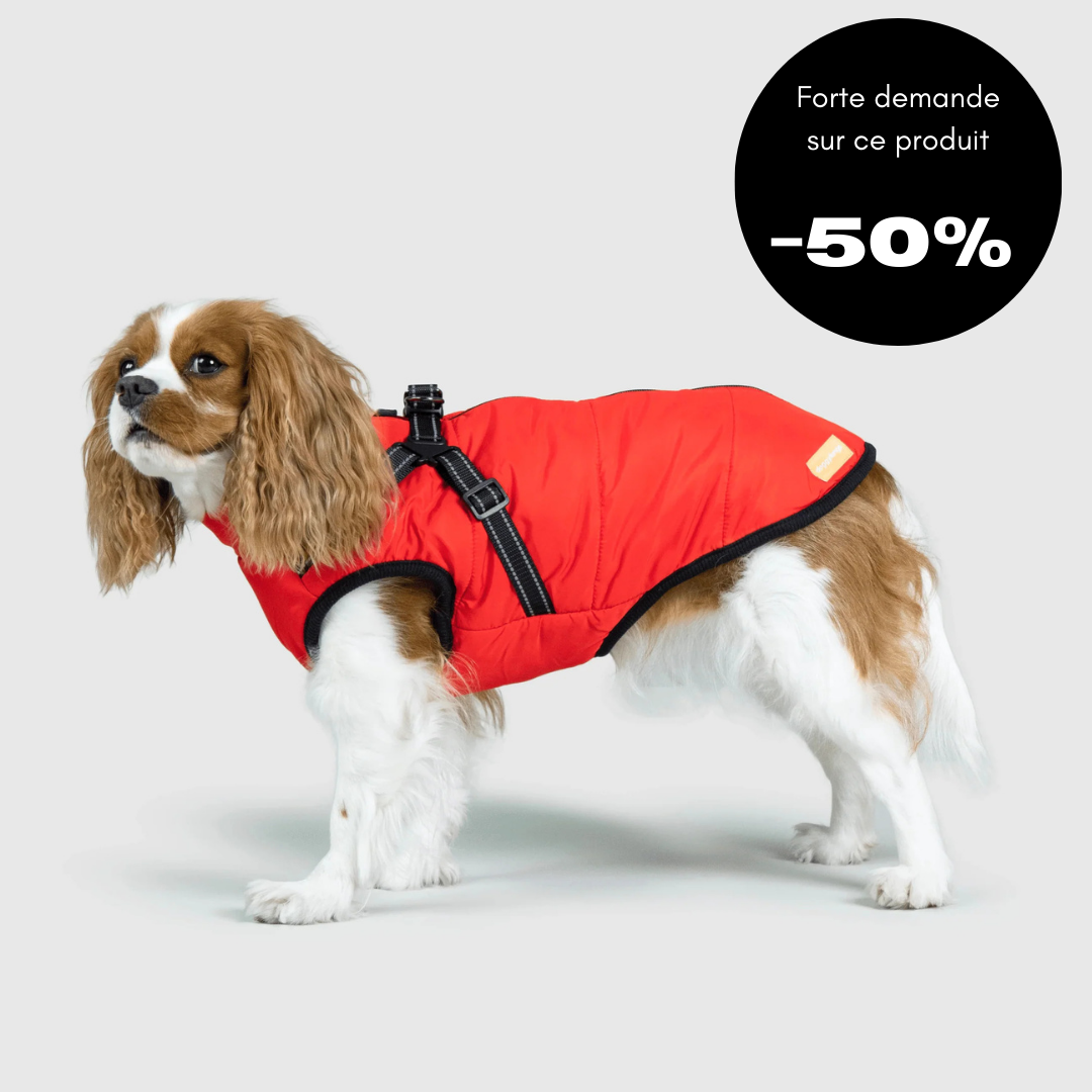 Veste d'hiver pour chien 2 en 1 (Bientôt épuisé)