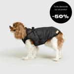 Veste d'hiver pour chien 2 en 1 (Bientôt épuisé)