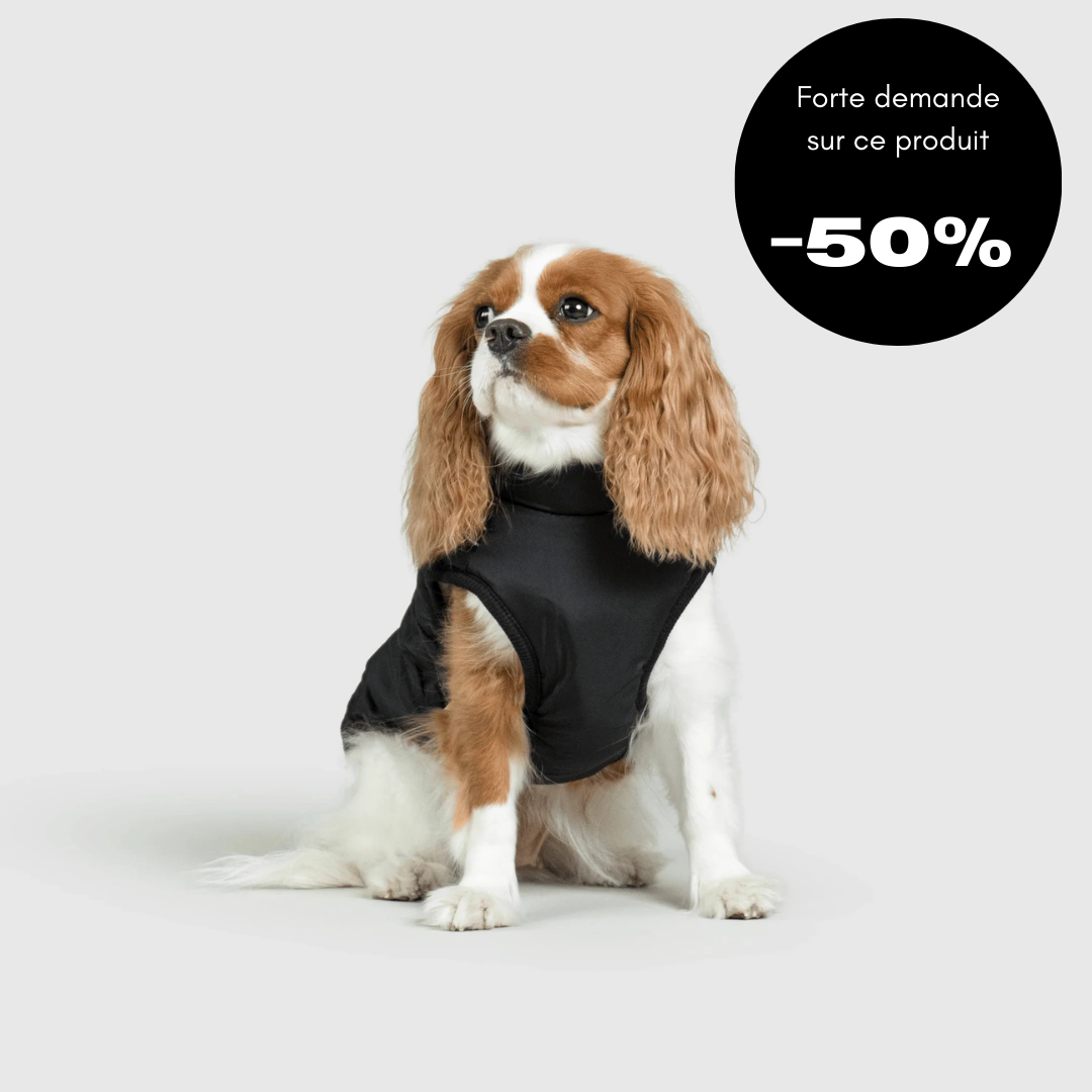 Veste d'hiver pour chien 2 en 1 (Bientôt épuisé)