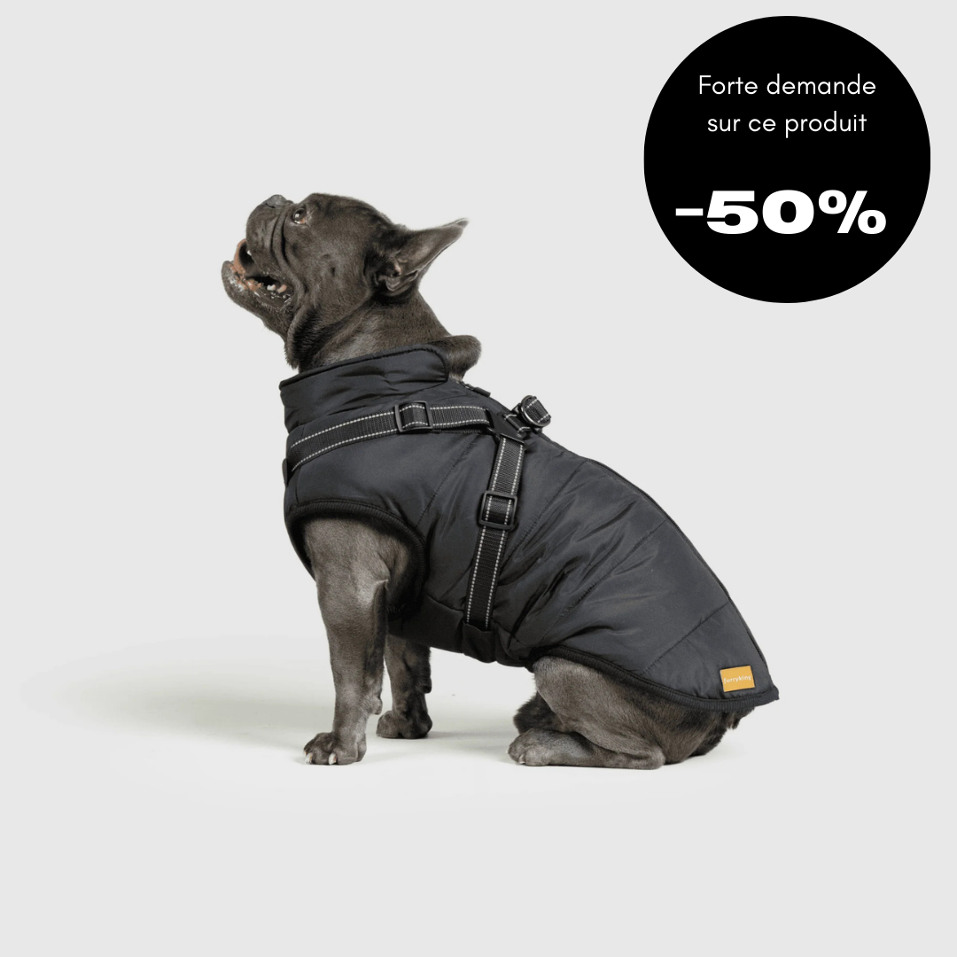 Veste d'hiver pour chien 2 en 1 (Bientôt épuisé)