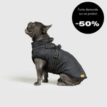 Veste d'hiver pour chien 2 en 1 (Bientôt épuisé)