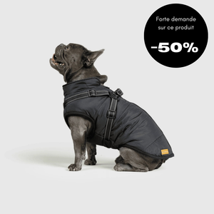Veste d'hiver pour chien 2 en 1 (Bientôt épuisé)