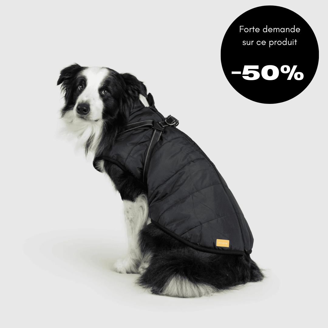 Veste d'hiver pour chien 2 en 1 (Bientôt épuisé)