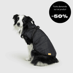 Veste d'hiver pour chien 2 en 1 (Bientôt épuisé)