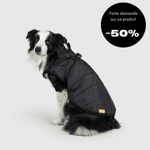 Veste d'hiver pour chien 2 en 1 (Bientôt épuisé)