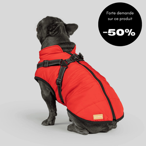Veste d'hiver pour chien 2 en 1 (Bientôt épuisé)