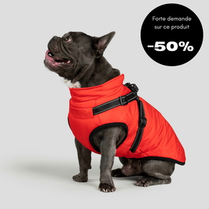 Veste d'hiver pour chien 2 en 1 (Bientôt épuisé)