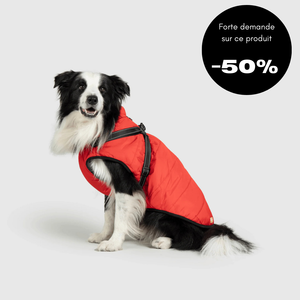 Veste d'hiver pour chien 2 en 1 (Bientôt épuisé)