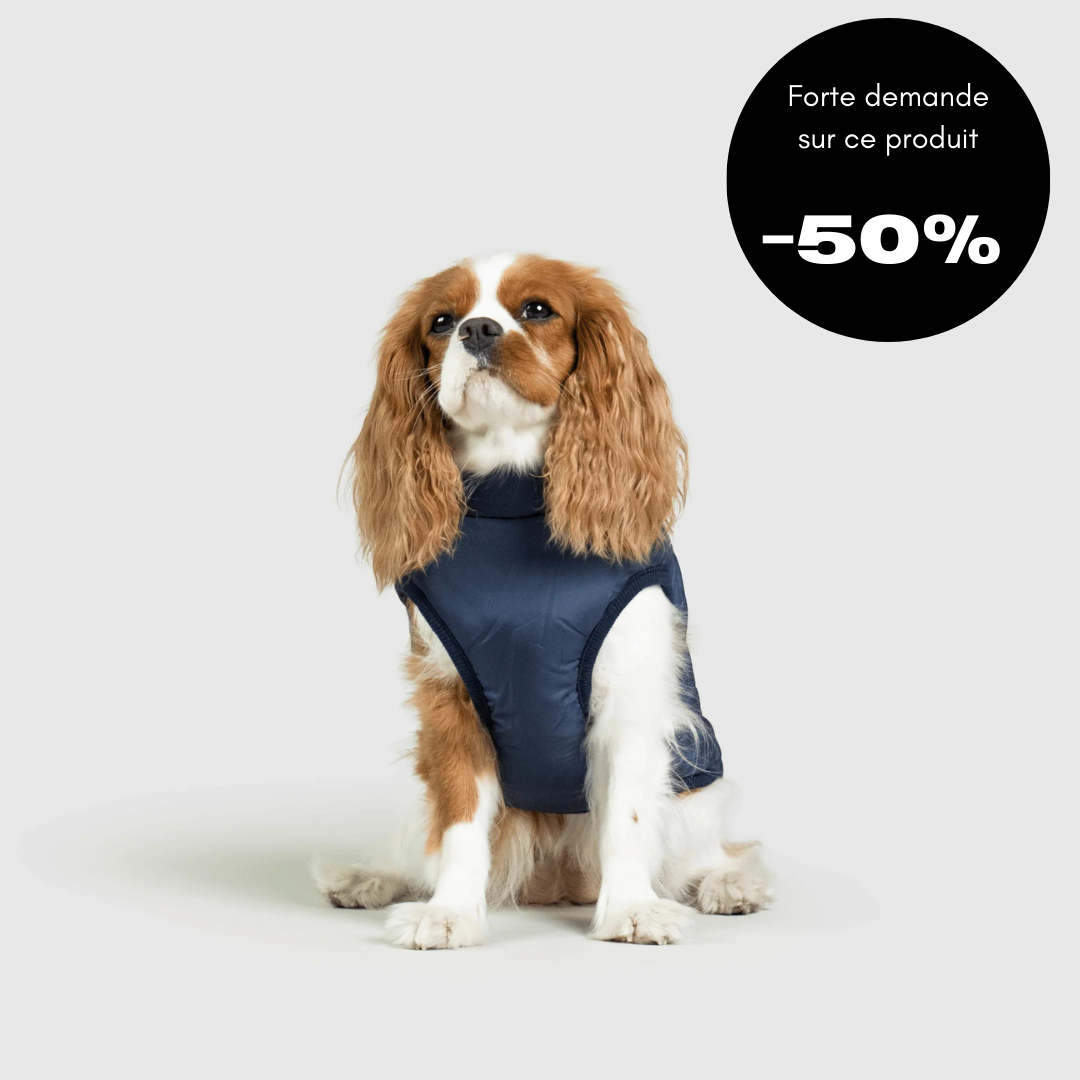 Veste d'hiver pour chien 2 en 1 (Bientôt épuisé)