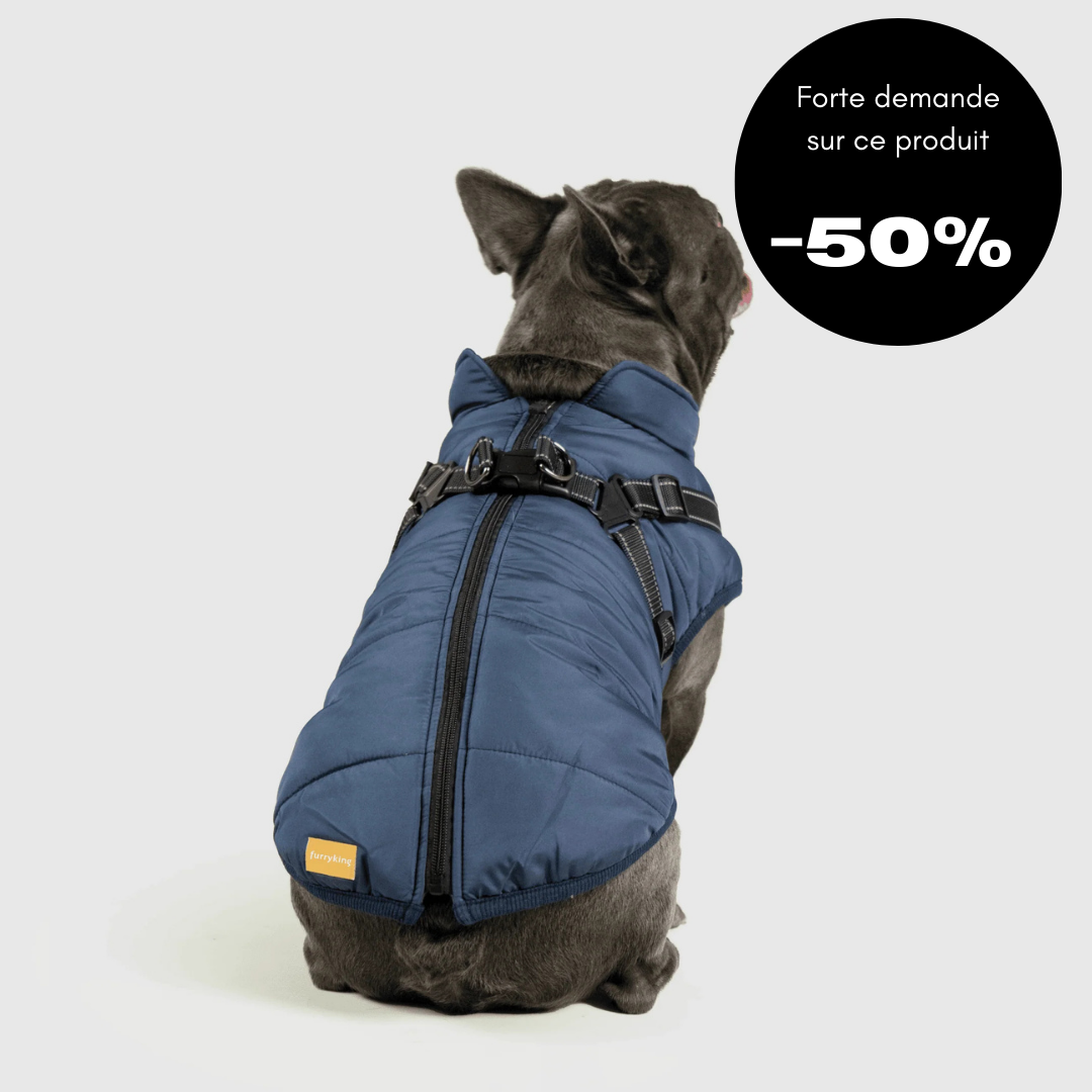 Veste d'hiver pour chien 2 en 1 (Bientôt épuisé)