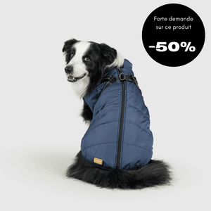 Veste d'hiver pour chien 2 en 1 (Bientôt épuisé)