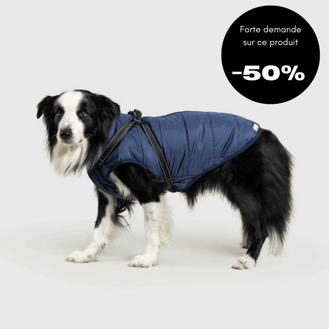 Veste d'hiver pour chien 2 en 1 (Bientôt épuisé)