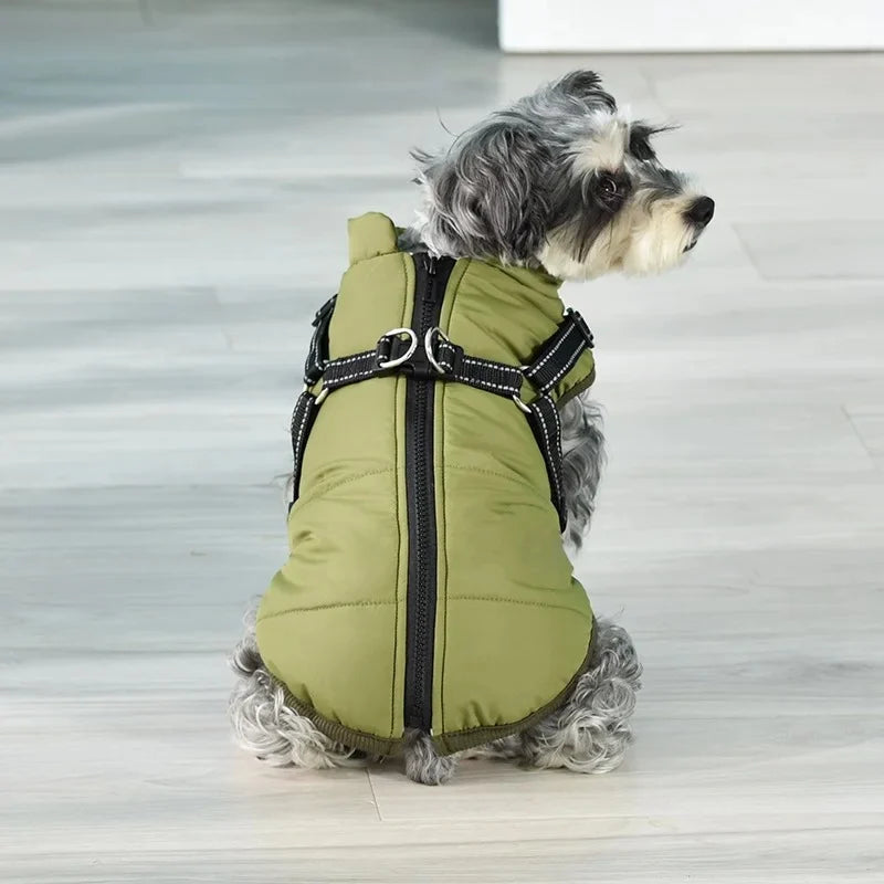 Veste d'hiver pour chien 2 en 1 (Bientôt épuisé)