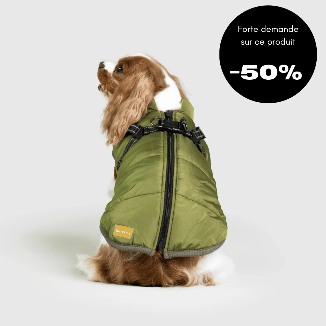 Veste d'hiver pour chien 2 en 1 (Bientôt épuisé)