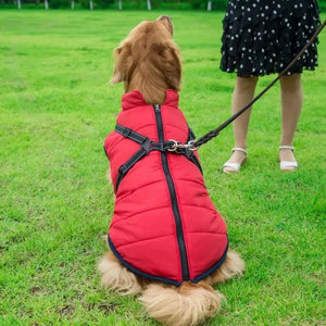Veste d'hiver pour chien 2 en 1 (Bientôt épuisé)