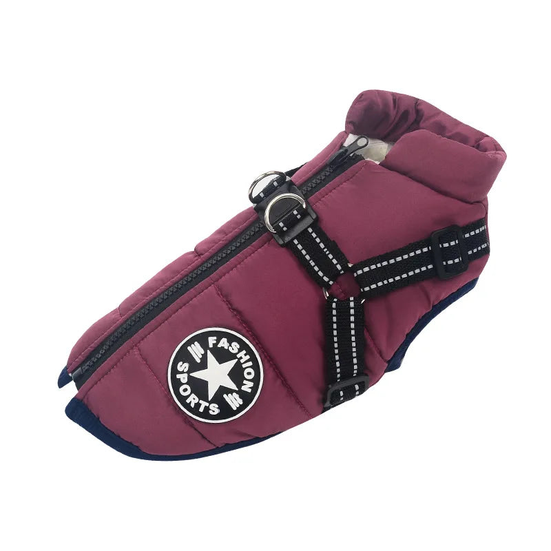 Veste d'hiver pour chien 2 en 1 (Bientôt épuisé)