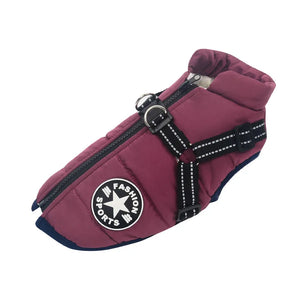Veste d'hiver pour chien 2 en 1 (Bientôt épuisé)