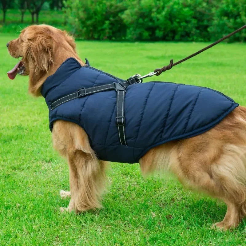 Veste d'hiver pour chien 2 en 1 (Bientôt épuisé)