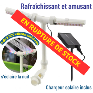 Fontaine Solaire à Double Jet pour Piscine